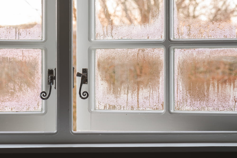 The Green Benefits of Glazing 1 single glazing and glass